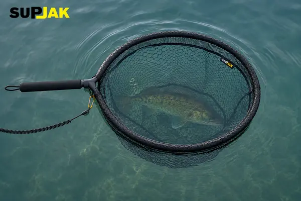 Schwimmender Kescher